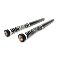 TracTive  X-TREME PRO (+20mm) Long Travel APRILIA Tuareg 660 2021-2024 Front Cartridge kit