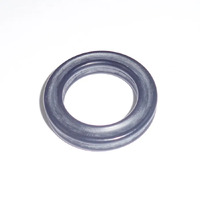 Lanier Fork piston Seal WP AER 48